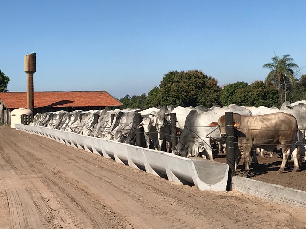 Fazenda modelo 02