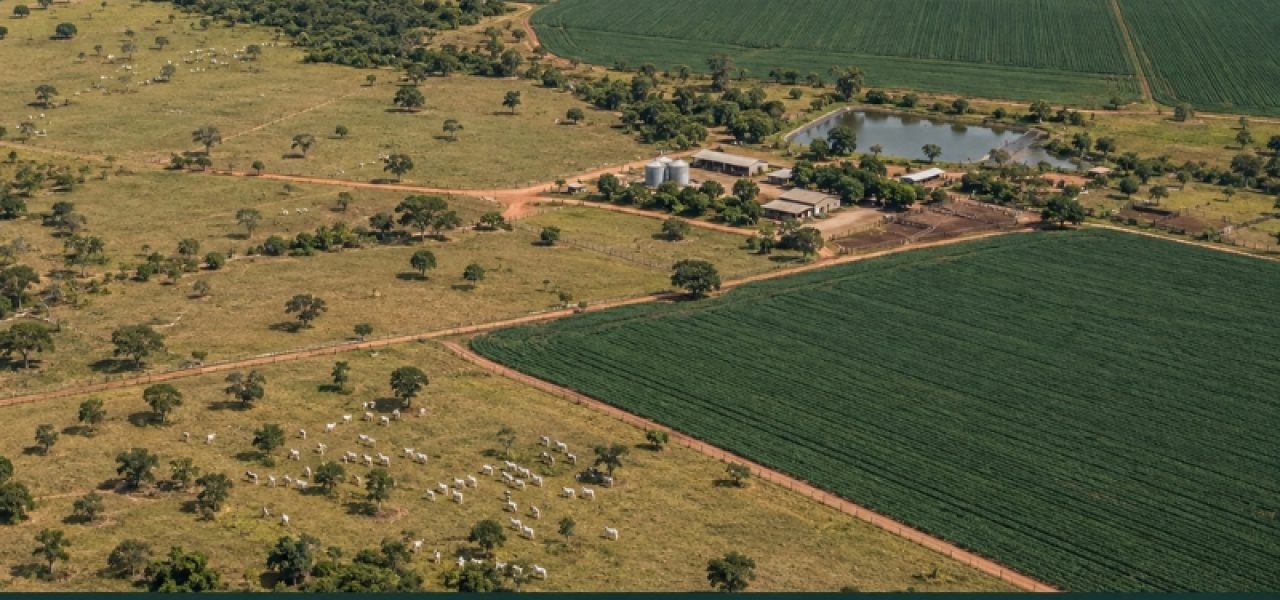 Fazenda no Mato Grosso